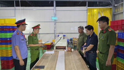VKSND Đà Nẵng - Triệt phá đường dây sản xuất, buôn bán yến giả