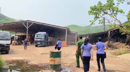 VKSND Khu vực 11 trực tiếp kiểm tra hiện trường, xác minh phản...