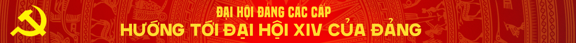 ĐH đảng các cấp