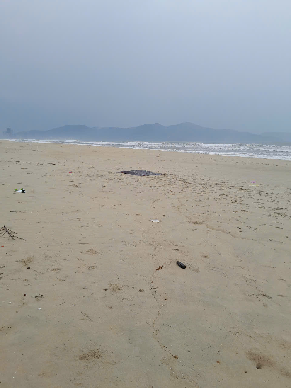 Khu vực 2: Kiểm sát viên khám nghiệm hiện trưởng tử thi tại bãi biển chưa xác định nguyên nhân tử vong