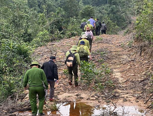 ''Ảnh có chứa ngoài trời, thực vật, đi bộ đường dài, cây cối

Nội dung do AI tạo ra có thể không chính xác.''